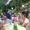 mif_2009_024