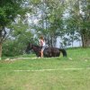 mif_2009_033