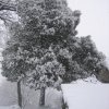 neve_ai_monti_024