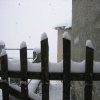 neve_ai_monti_028