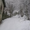 neve_ai_monti_031