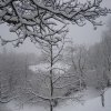 neve_ai_monti_041