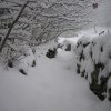 neve_ai_monti_043