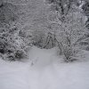 neve_ai_monti_049