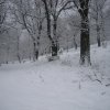 neve_ai_monti_050