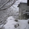 neve_ai_monti_056