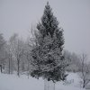 neve_ai_monti_063