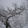 neve_ai_monti_007