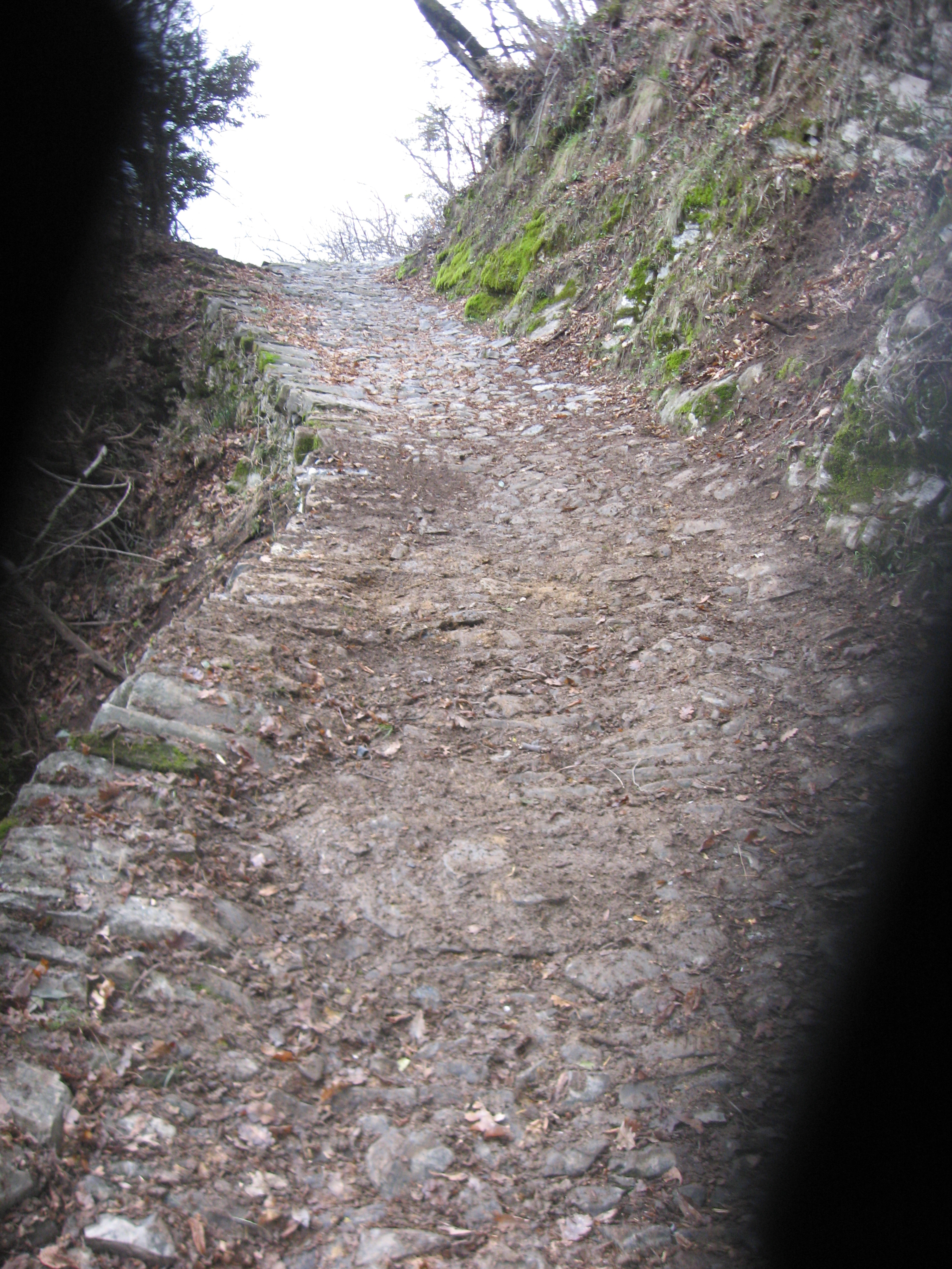 Strada ripristinata 