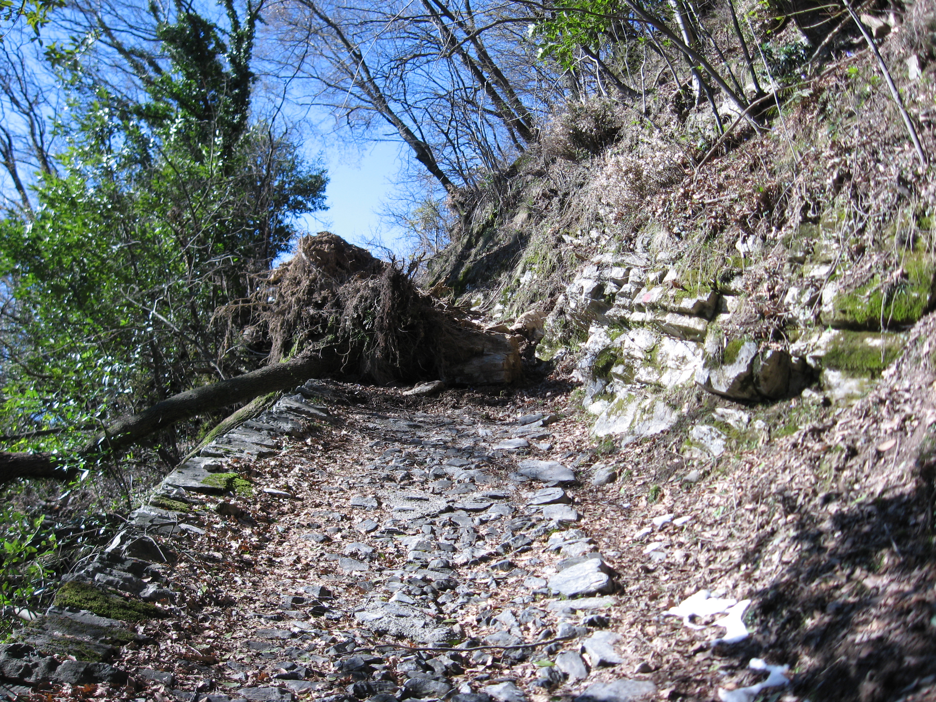 Immagine Frana causata da neve 2013